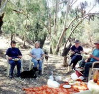 Bimbimbi And Little Hollow Farm Stay - Accommodation Main Beach