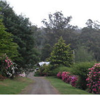 Mountain Rivers Lodge - Accommodation Main Beach