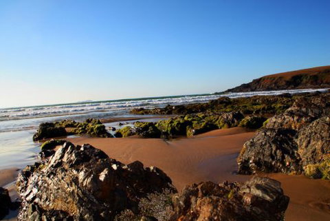 ArtHOUSE Beachfront Accommodation - Accommodation Main Beach 8