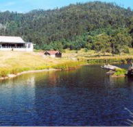 Millybrook Lodge - Accommodation Main Beach