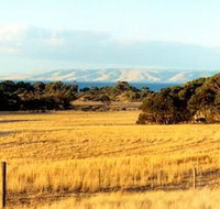 The Kona - Accommodation Main Beach