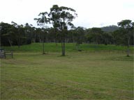Mount White NSW Accommodation Main Beach