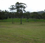 Mt White Lodge - Accommodation Main Beach