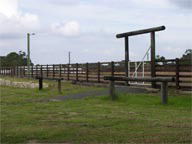 Mt White Lodge - Accommodation Main Beach 2