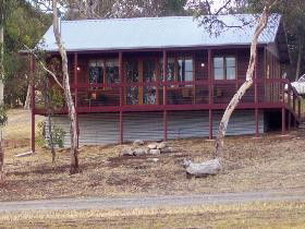 Ivybrook Vineyard Cottage - Accommodation Main Beach 0