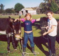 Grampians Sunrise Holiday Villas - Accommodation Main Beach