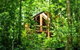 Fur'N'Feathers Rainforest Tree Houses - thumb 0