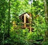 Fur'N'Feathers Rainforest Tree Houses - Accommodation Main Beach