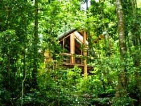 Fur'N'Feathers Rainforest Tree Houses - Accommodation Main Beach 0