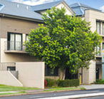 Quest Maitland Serviced Apartments - Accommodation Main Beach