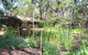 Storey Grange - thumb 1