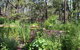 Storey Grange - thumb 8