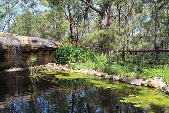 Storey Grange - Accommodation Main Beach 12