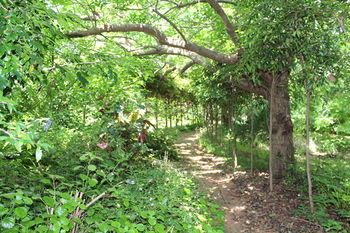 Storey Grange - Accommodation Main Beach 13