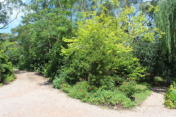 Storey Grange - Accommodation Main Beach 20