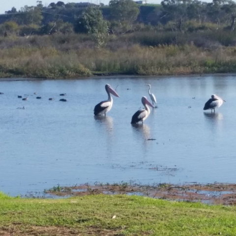 Avoca Dell Caravan Park - Accommodation Main Beach 9