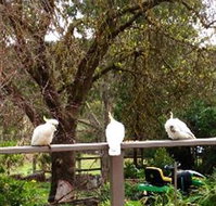 Australian Home Away  Wonga Park Brushy Creek