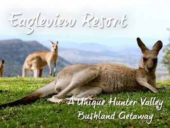 Eagleview Resort - Accommodation Main Beach 45