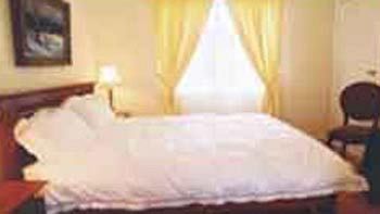 Bluebell Bed & Breakfast - Accommodation Main Beach 5