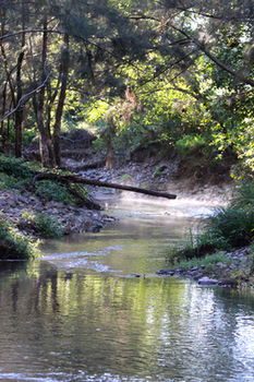 Yabbaloumba Retreat - Accommodation Main Beach 5