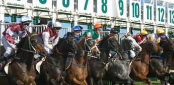 Hawkesbury Race Club Motel - Accommodation Main Beach 13