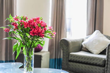 Anchor On Flinders Prime - Accommodation Main Beach 20