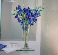 Grand Hotel Wyong - Accommodation Main Beach