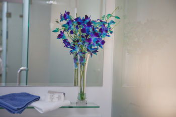 Grand Hotel Wyong - Accommodation Main Beach 0