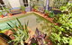 Billabong Gardens - Hostel - thumb 15