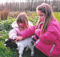 Huon Valley Caravan Park - Accommodation Main Beach