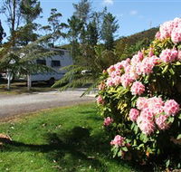 Zeehan Bush Camp  and Caravan Park - Accommodation Main Beach