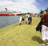 Lakeside Tourist Caravan Park - Accommodation Main Beach