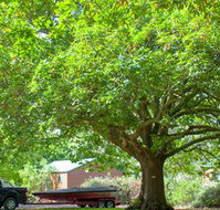 Lakes and Craters Holiday Park - Accommodation Main Beach