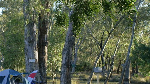 Numurkah Caravan Park - Accommodation Main Beach 2