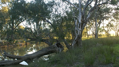 Numurkah Caravan Park - Accommodation Main Beach 5
