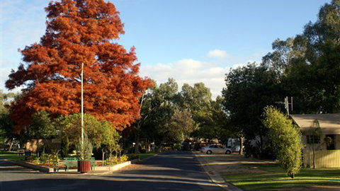 Numurkah Caravan Park - Accommodation Main Beach 6