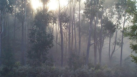 Carinya Park - Accommodation Main Beach 3