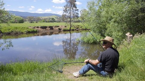 BIG4 Taggerty Holiday Park - Accommodation Main Beach 4