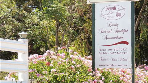 Burrabliss Bed And Breakfast - Accommodation Main Beach 6