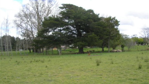 Auberge Woodend - Accommodation Main Beach 3