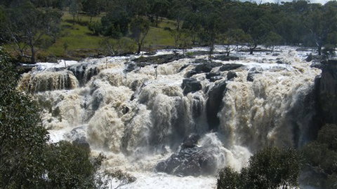Boomers Guest House Hamilton - Accommodation Main Beach 7