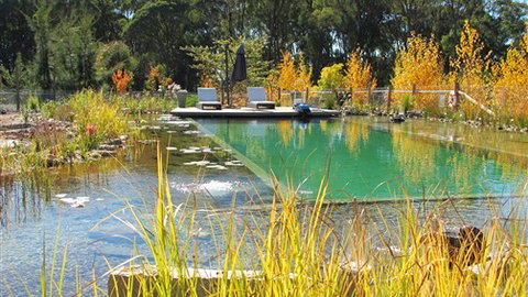 Planetrees Estate  - Accommodation Main Beach 5