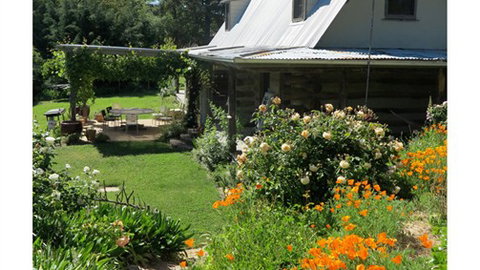 Planetrees Estate  - Accommodation Main Beach 6