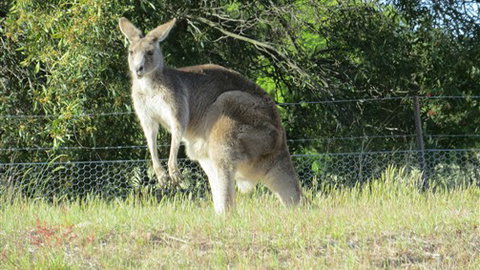 Adelberg - Accommodation Main Beach 7