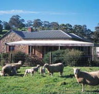 Amanda Stichbury Cottage - Accommodation Main Beach