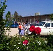 Boerbuck Country Motel  Host Farm - Accommodation Main Beach