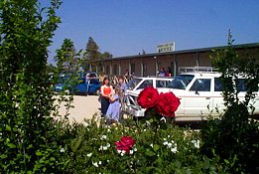 Boerbuck Country Motel & Host Farm - Accommodation Main Beach 0
