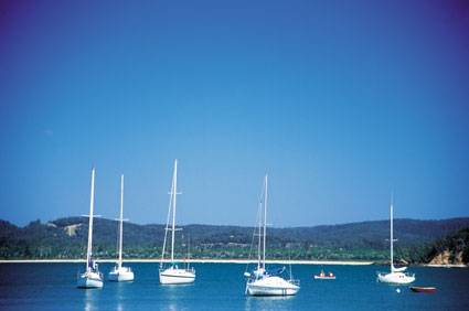 Boydtown Caravan & Camping Park - Accommodation Main Beach 2