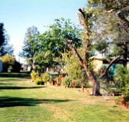 Condamine River Caravan Park - Accommodation Main Beach