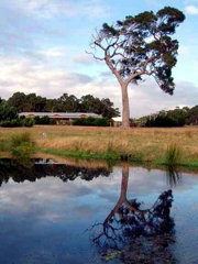 Craythorne Country House Metricup - Accommodation Main Beach 4